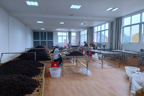 棠溪鎮(zhèn)：“五指成拳”抓黨建 戮力攻堅促脫貧(1).jpg